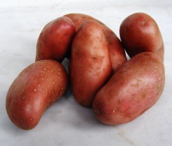 cheriekrumpli