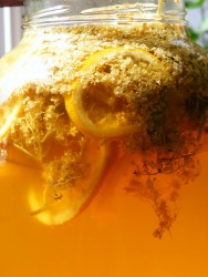 karamellasbodzaszorp