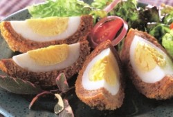 scotchegg