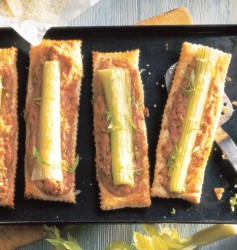 sonkaszellerropogos