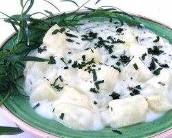tarkonyoscsillagtok
