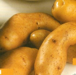Zellres, lilahagymás krumplisaláta